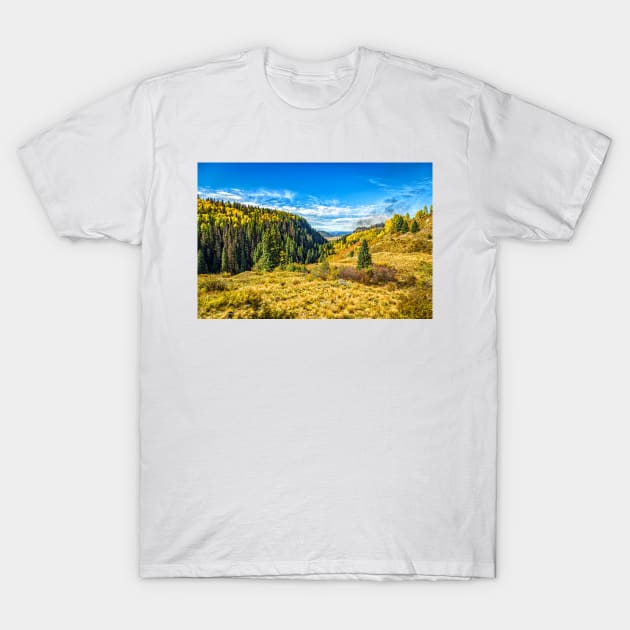 Cumbres and Toltec Narrow Gauge Railroad T-Shirt by Gestalt Imagery